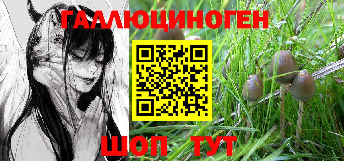 Кизилюрт  Псилоцибиновые грибы Cubensis  Вход с VPN  Галлюциногенные грибы прущие грибы 